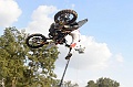 _ROB3833 (Copy)